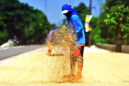 P40-B budget sought for disaster response, rice subsidy in 2026
