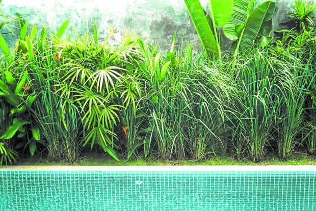 Setting up the best staycation experience